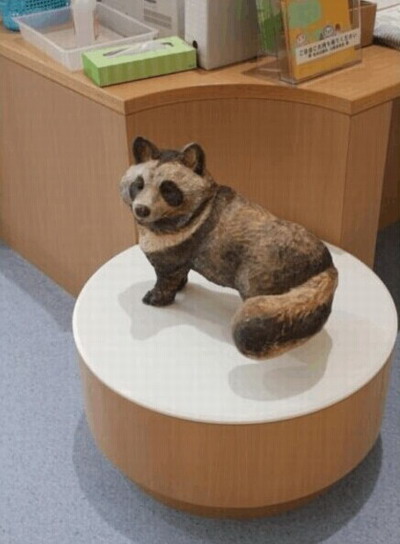 實(shí)拍每平方2.5萬造價(jià)的<a href='/hospital/japan/'>日本醫(yī)院</a>綜合體