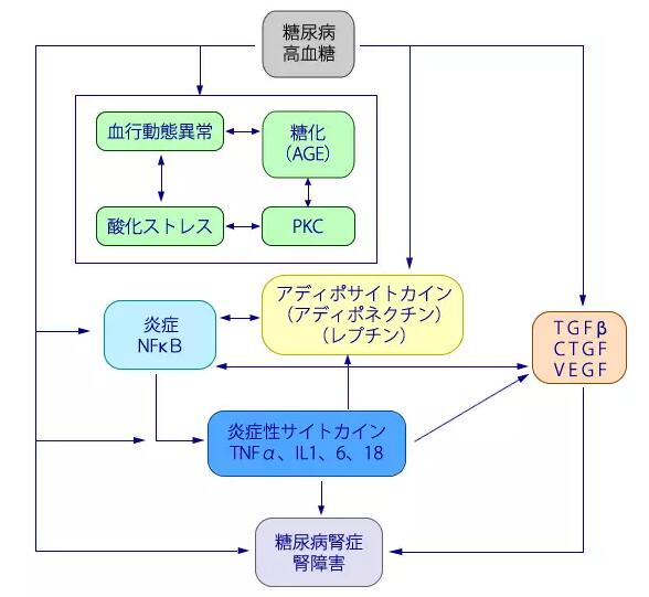 去<a href='/japan/'>日本看病</a>，厚樸方舟