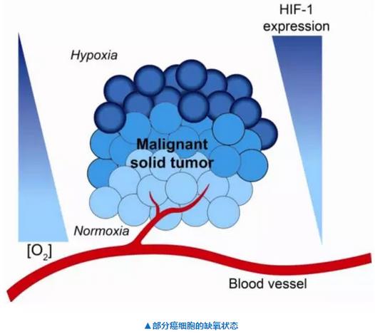 <a href='/'>海外醫(yī)療</a>,厚樸方舟