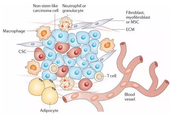 <a href='/'>出國就醫(yī)</a>，厚樸方舟
