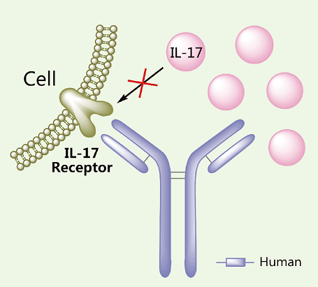 <a href='/'>出國(guó)看病</a>，<a href='/japan/'>日本看病</a>，厚樸方舟