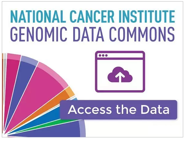 <a href='/'>海外醫(yī)療</a>，赴美就醫(yī)，厚樸方舟