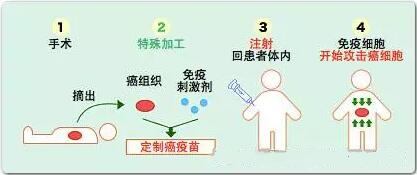 <a href='/'>出國看病</a>，<a href='/japan/'>日本就醫(yī)</a>，厚樸方舟