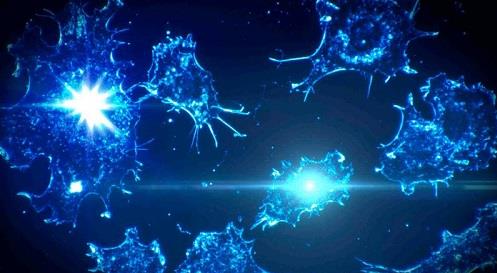 <a href='/'>海外醫(yī)療</a>，<a href='/japan/'>日本看病</a>，厚樸方舟