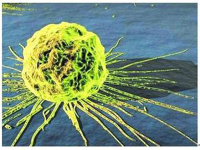 <a href='/'>出國看病</a>，赴美就醫(yī)，厚樸方舟