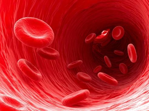 <a href='/'>出國看病</a>，<a href='/japan/'>日本看病</a>，厚樸方舟