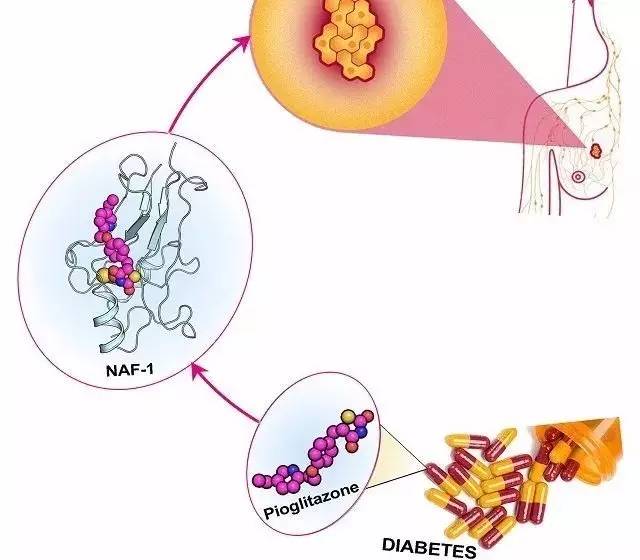 <a data-cke-saved-href='/' href='/'>出國(guó)看病</a>