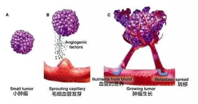 <a  data-cke-saved-href='/' href='/'>出國看病</a>