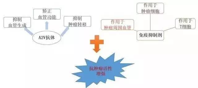 <a  data-cke-saved-href='/' href='/'>出國看病</a>