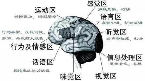 出國治療肺癌