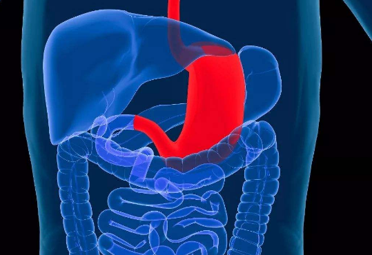 日本胃癌生存率