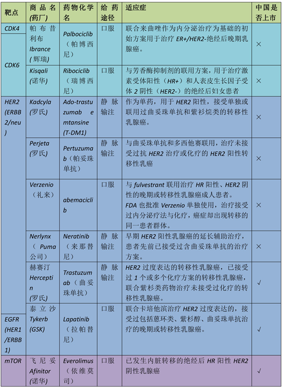 美國乳腺癌治療