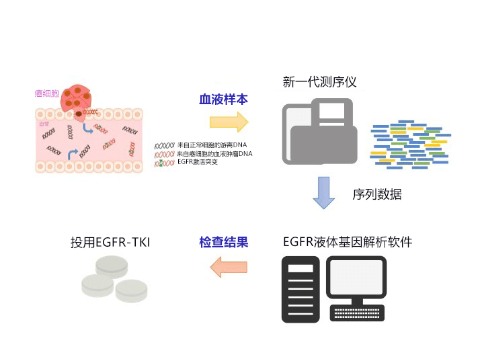 日本開發(fā)出驗(yàn)血查肺癌基因的高靈敏度技能