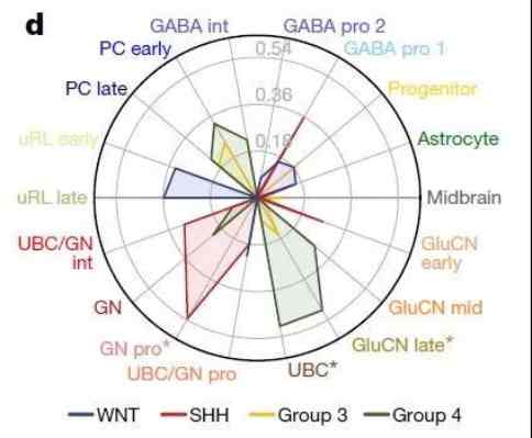 髓母細(xì)胞瘤不同亞型