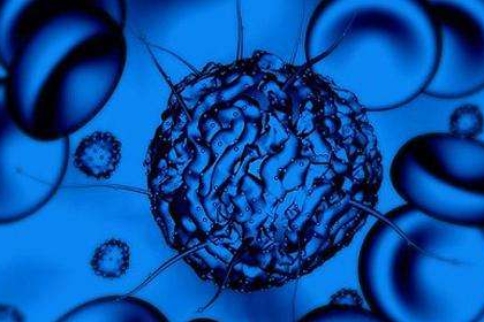 肝細(xì)胞癌治療