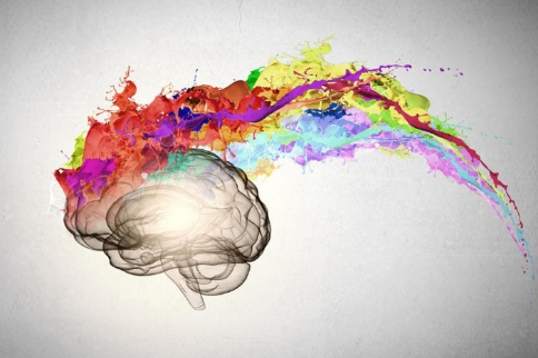 帕金森大腦疾病預(yù)防