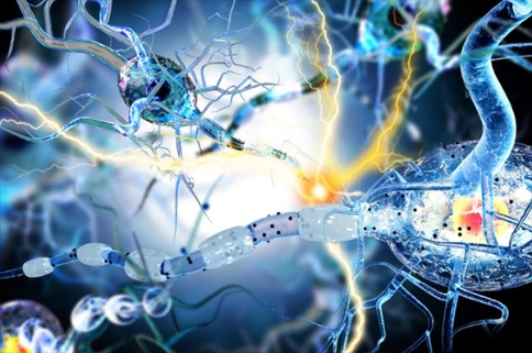 PPM1D突變在改變癌癥代謝過程中發(fā)揮的作用