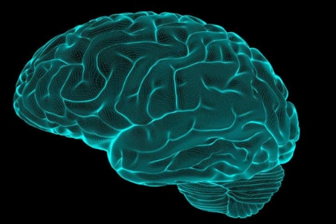 治療膠質(zhì)母細(xì)胞瘤的潛在新靶點(diǎn)