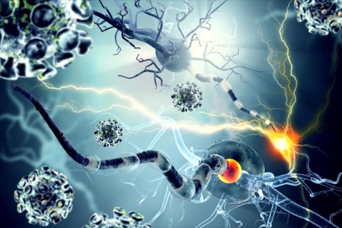 生物鐘運(yùn)行快或慢都可能導(dǎo)致晝夜節(jié)律紊亂或異常，從而增加一些人患癌癥的風(fēng)險(xiǎn)