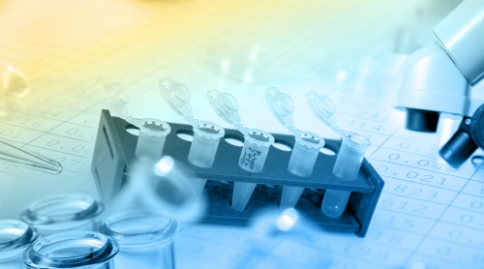 出國(guó)看病:研究發(fā)現(xiàn)促進(jìn)癌細(xì)胞無(wú)限增長(zhǎng)的端粒酶還具有保護(hù)健康細(xì)胞的功能