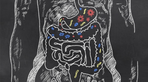 出國(guó)看病：克羅恩病藥物耐受圖譜特征已被繪制，治療方法指日可待！