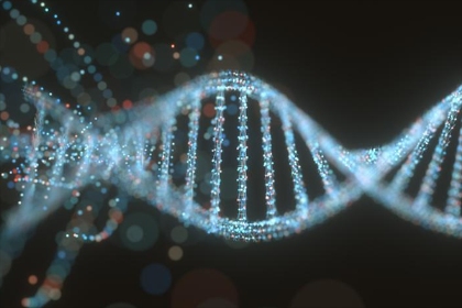 β-catenin蛋白積累會導(dǎo)致腫瘤的形成