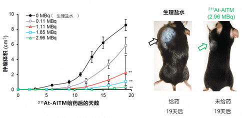 出國看病：日本研發(fā)出治療惡性黑色素瘤的新方法！