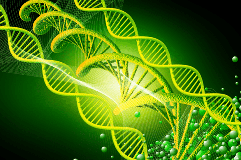 “垃圾DNA”與癌癥風(fēng)險密切相關(guān)，或可開發(fā)出新型癌癥治療方法