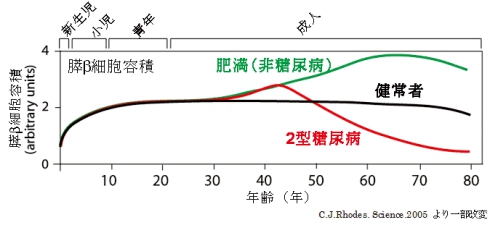日本東京慈惠會醫(yī)科大學(xué)附屬醫(yī)院