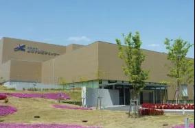 質子重離子治療 質子重離子治療