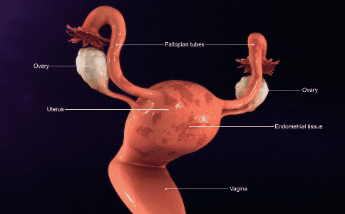 1615471904271970.png 18-2003311P114Y6.png