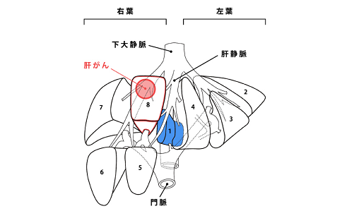日本排名前列的肝癌治療醫(yī)院