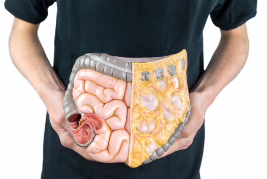 美國結(jié)直腸癌治療 美國結(jié)直腸癌治療