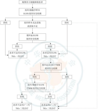中國醫(yī)學(xué)會(huì)配圖